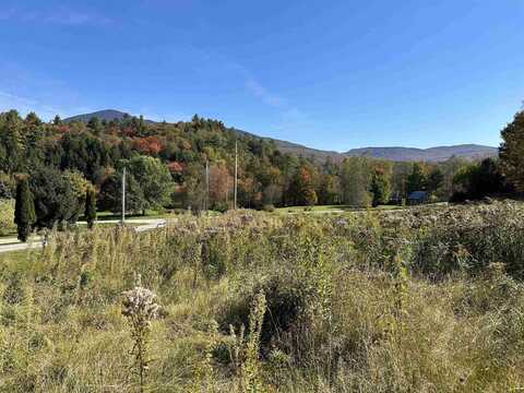 lot 4 Cold Spring Road, Lincoln, VT 05443