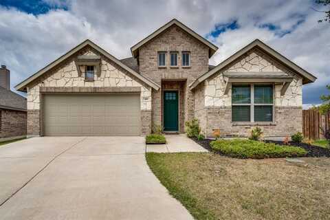 109 Sonterra Court, Waxahachie, TX 75167