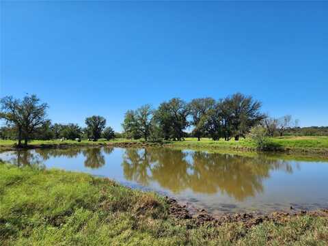 Tbd FM 1176 S, Santa Anna, TX 76878