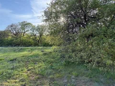 Tbd Brown Road, Nocona, TX 76255