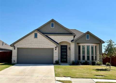 225 Clairmont Drive, Ponder, TX 76259