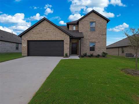 537 Brook View Drive, Van Alstyne, TX 75495