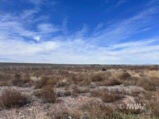 Coyote, Littlefield, AZ 86432