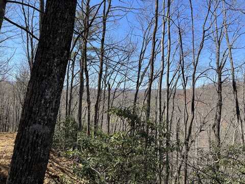 Lot 305 Sleepy Creek Trail Powder Horn Estates, Deep Gap, NC 28618