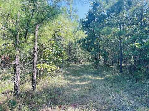 0 County Road 235 Tract 4, Leesburg, AL 35983