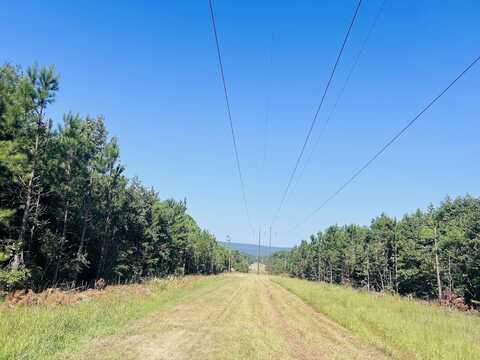 0 County Road 235 Tract 3, Leesburg, AL 35983