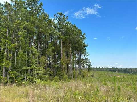 Lot 9 Ridge Road, Seale, AL 36875