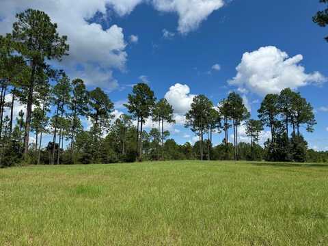 207 Bell Tower Parkway, Carriere, MS 39426