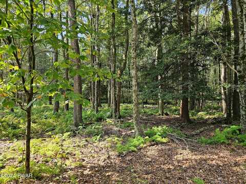 Lot 172 Maple Lane, Greentown, PA 18426