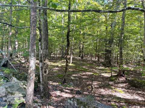 Lot 756 Fawn Road, Hawley, PA 18428