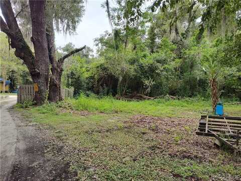 0000 NE 17th Court, Citra, FL 32113