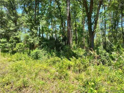 Lot B NE 66th Court, Citra, FL 32113