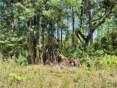 Lot C NE 66th Court, Citra, FL 32113