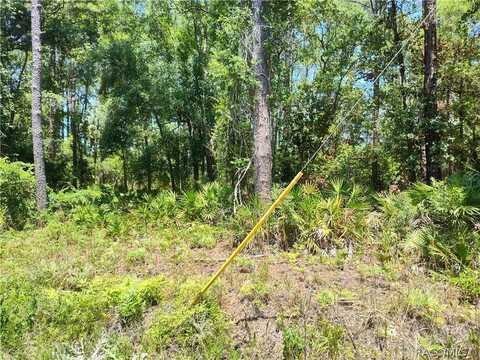 Lot A NE 66th Court, Citra, FL 32113