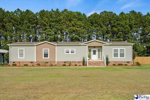 6193 Clearbrook Rd., Effingham, SC 29541