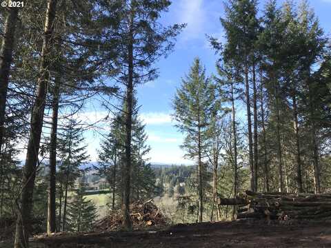 Mountain RD, West Linn, OR 97068