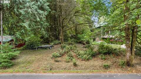 9842 BEACH DR, Birkenfeld, OR 97016