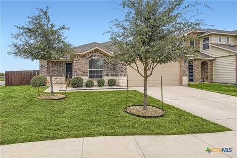 3600 Canaan Matthew Drive, Austin, TX 78725