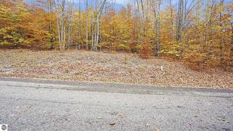 Lot 12 Mountain Woods Drive, Thompsonville, MI 49683