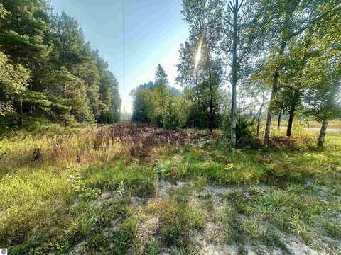 0 Ingersoll Road, Fife Lake, MI 49633