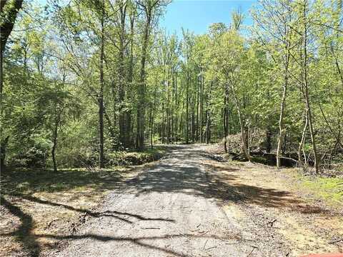 Xx 16.35 Acres Black Point Lane, Pilot Mountain, NC 27041