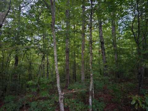 Sandy Road N/O-Sells Cemetery Road, WILDER, TN 38589