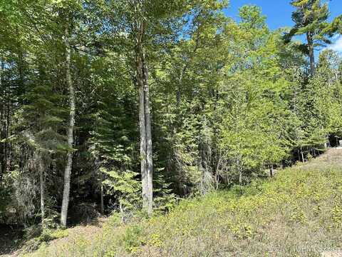 TBD Hemlock Views, Manistique, MI 49854