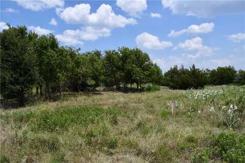 Lot 3 HCR 3363, Mount Calm, TX 76673