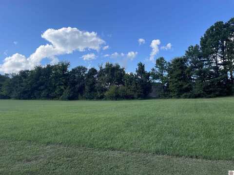 Lot 4 Saddle Creek Subdivision, Murray, KY 42071