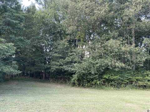 Lot 39 Saddle Creek Subdivision, Murray, KY 42071