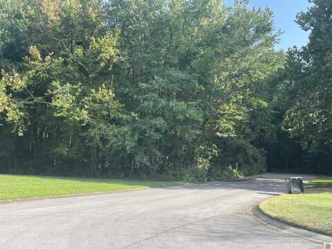 Lot 16 Saddle Creek Subdivision, Murray, KY 42071