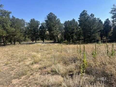 1474 Elkhorn Rd, Cotopaxi, CO 81223