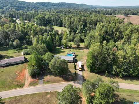 321 FRIENDSHIP ROAD, SPRINGVILLE, AL 35146