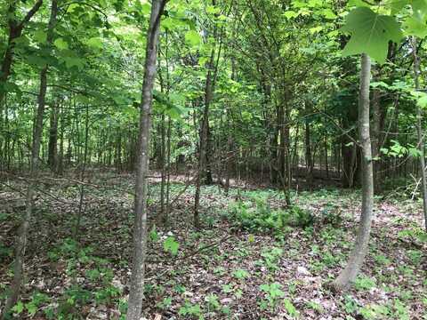 Lot 512 Wilderness Way, Dunlap, TN 37327