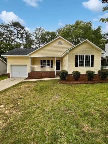 361 Firebridge Drive, Chapin, SC 29036