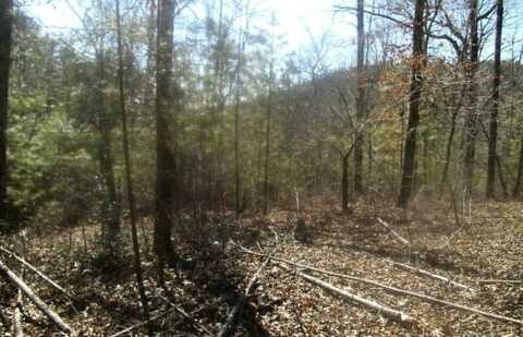 99 Old Post Trail, Talking Rock, GA 30175