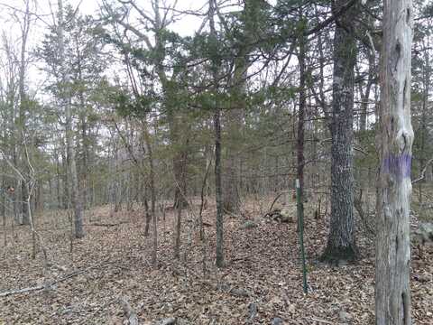 Lot 1 Copperhead Road, Cedarcreek, MO 65627