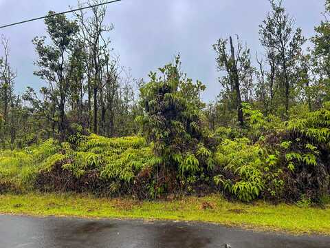 11-2683 ALA KAPENA, VOLCANO, HI 96785