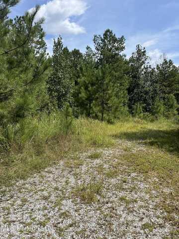 2126 Salem Campground Road, Lucedale, MS 39452