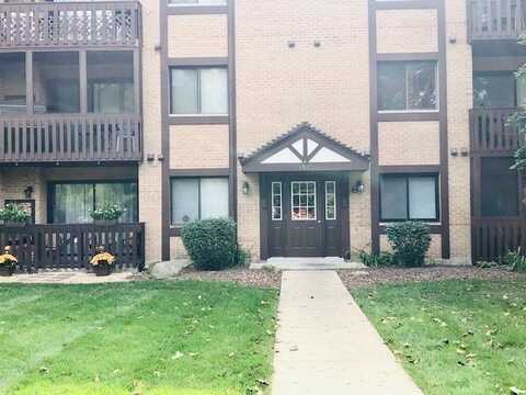 6015 Lakeside Place, Tinley Park, IL 60477