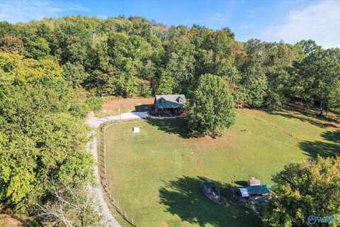 129 Reed Hollow Road, Petersburg, TN 37144