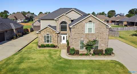 13407 Newby Plantation Lane, Athens, AL 35613