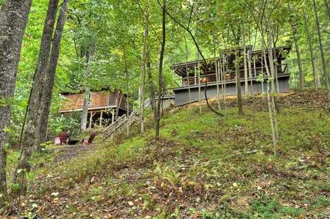 163 Chestnut Ridge Trail, Blue Ridge, GA 30513