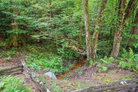 Turniptown Road, Ellijay, GA 30536