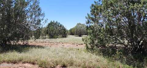 364 & 363 Big View, Ash Fork, AZ 86320