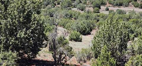 Lot 30 Off Old Hwy 66, Ash Fork, AZ 86320