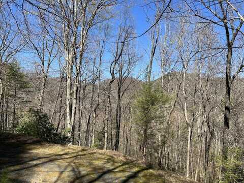 Lot PE 306 Sleepy Creek Trail, Deep Gap, NC 28618