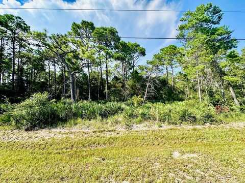 259 Twin Lakes Rd, Eastpoint, FL 32328