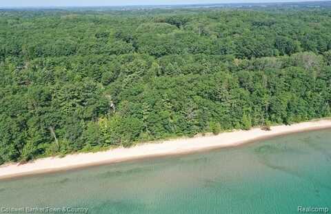 1329 Black Rock Beach Dr, Harrisville, MI 48740