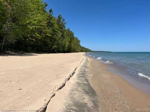 1559 Black Rock Beach Dr, Harrisville, MI 48740